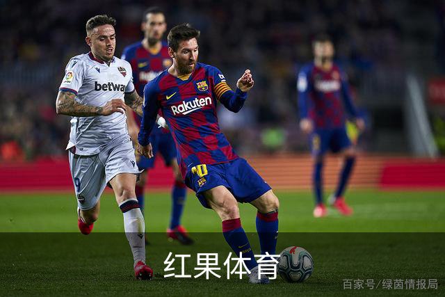 红果体育公司简介图片